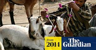 It wasn't this woman who was killed, however, although she was left with serious injuries, according to shanghai daily. Indian Court Bans Animal Sacrifice India The Guardian