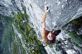 View all matt bush movies (5 more). Free Climber Matt Bush Ignoring Gravity 1000x667 Adrenalineporn