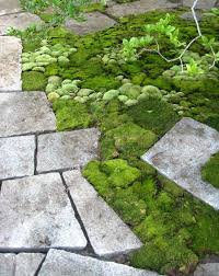Beauty In Simplicity Three Materials Convey A Lot Of Meaning In This Setting Moss Garden Landscape Design Garden Design