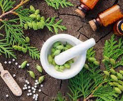 Дикоград, дедушкины кудри, бородавник, жигучка, жигунец, жигунек, цепкий ломонос, клематис винограднолистный. Clematis Erecta Buxton Grant Pharmacy