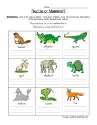 Mammal Vs Reptile Worksheet Pictures Science Worksheets Reptiles Mammals Activities