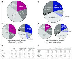 A The Pie Chart Shows Differentially Methylated Probes In