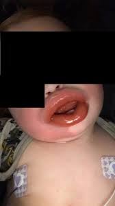 The 'giant ulat gonggok' shot was taken during my batu maloi's camping. Jangan Panik Bila Ulat Gonggok Serang Tapi Bahaya Untuk Kanak Kanak Jika Terkena Gigitan