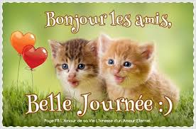 Résultat de recherche d'images pour "bonjour les amis"