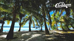 But if you want to use a gif instead, then it is not. Have Your Next Meeting At The Beach Stories By Cheapcaribbean