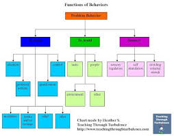 Behavior Management Linky Great Function Of Behavior Chart