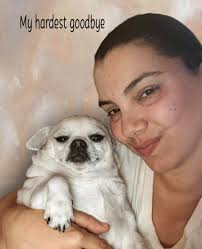 Memorializing a beloved pet with Rudy's ashes and figurine