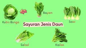 Jenis jenis konjungsi terbagi kedalam beberapa bagian ataup kelompok, selengkapnya. Asas Tanaman Pendidikan Khas Tingkatan 1 Jenis Jenis Sayur Sayuran Youtube