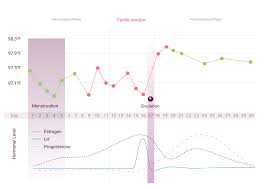 ovulation and temperature tracking fertility natural cycles