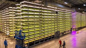 Vertical farming refers to a method of growing plants or crops in vertically stacked layers. Is The Future Of Farming Vertical Brink News And Insights On Global Risk