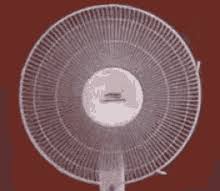 Check out the best videos, photos, gifs and playlists from amateur model mini diva. Dyson Fan Gifs Tenor