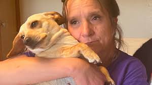 Fundraiser by Eric Abbott : Help Us Honor Mary Abbott's Beautiful Life