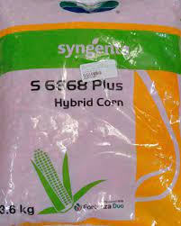 Do not bring this product in contact with water or other corrosive liquids. Syngenta Syngenta S 6668 Plus Maize 3 6 Kg Seed Agrostar