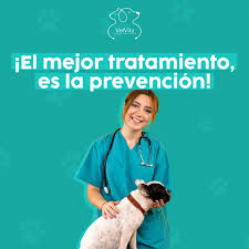 Clinica veterinaria VetVita