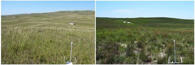 We did not find results for: What Should My Pastures Look Like Interpreting Rangeland Monitoring Data Thefencepost Com