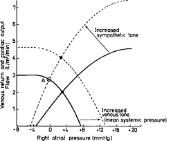 Sympathetic Tone An Overview Sciencedirect Topics