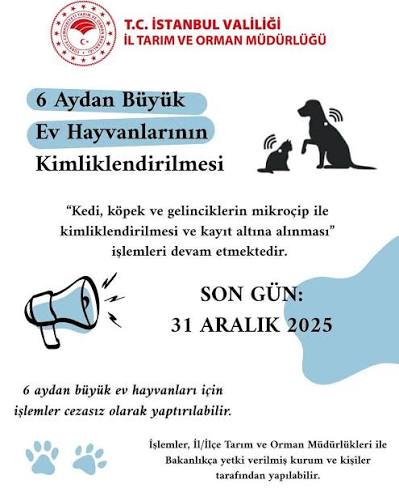 Evcil Hayvanların İçin Son Gün 31 Aralık! Aşı Kartı ve Kimlik Meselesi Ne Olacak?