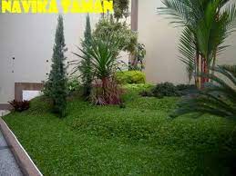 4 meter x 1 tanaman= 4 tanaman, yakni 4 meter x 1 tanaman= 4 tanaman. Harga Borongan Taman Permeter Jasa Tukang Taman Dibogor Jasa Tukang Taman Dibogor