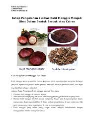 Sebagai obat tradisional adalah buah manggis yang menurut hasil penelitian bahwa kulit buah manggis memiliki aktivitas sebagai antibakteri, antioksidan, dan anti metastasis pada kanker usus (tambunan, 1998). Doc Tahap Pengolahan Ekstrak Kulit Manggis Menjadi Obat Dalam Bentuk Serbuk Atau Cairan Vivi Chankey Academia Edu