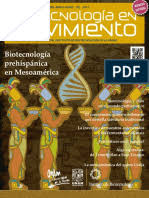 Se pretende que los alumnos, a partir de la lectura en la lectura que nos sugiere la antología,recordando al maestro antonio carrillo de josé. Libro Docente Aplicados Pdf Mesoamerica Mexico