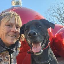 Humane Society of NWGA added a...