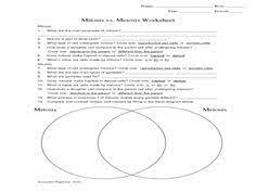 Mitosis vs meiosis worksheet answer key. Mitosis Vs Meiosis Worksheet Worksheet Meiosis Mitosis Vs Meiosis Mitosis