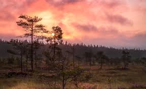 35 vierailemisen arvoista luonnonympäristöä, rakennusta ja ...