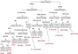 The Iaslc Lung Cancer Staging Project Proposals For