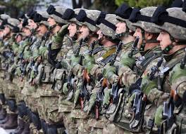 Ce aleg tinerii din timis? Armata RomanÄ AngajeazÄ RezerviÈti Legea A Intrat In Vigoare SambÄtÄ Èi Prevede Lefuri Mai Mari Jurnaldebacau Ro