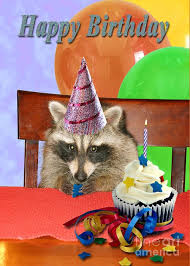Download this premium vector about happy birthday, raccoon, cup design, and discover more than 14 million professional graphic resources on freepik. Birthday Raccoon Photograph By Jeanette K