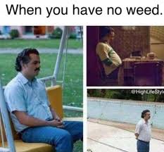 Most commonly, people use the generator to add text captions to established memes , so technically it's more of a meme captioner than a meme maker. I Feel This On A Spiritual Level Trees