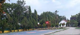 We did not find results for: Sman 1 Palopo