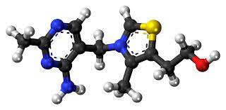 Wernicke Korsakoff Syndrome Wikipedia