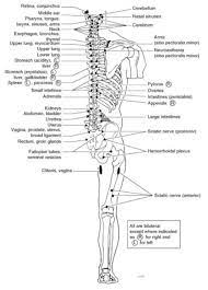 Pin On Doctor Stuff