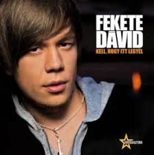 Fekete Dávid