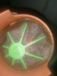 Opel corsa c oxygen sensors test , removal , replacement / narrowband o2. Opel Corsa Questions My Opel Corsa Lite Wouldn T Start The Fuel Pump Does Not Pump Even Af Cargurus