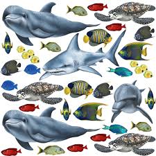 Great savings & free delivery / collection on many items. Tropical Fish And Sea Creatures Sticker Collection Wall Mural Decals
