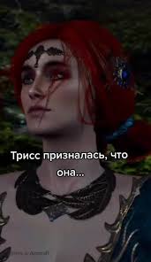 Трисс призналась, что она... #Трисс #Ведьмак #ведьмак3 #юмор #TheWitcher  #Геральт #Дикаяохота