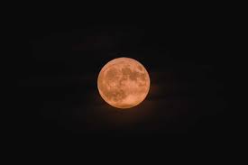 Moon photos moon pictures planets wallpaper nature wallpaper moon photography landscape photography bark at the moon night scenery shoot the moon. 20 000 Best Full Moon Photos 100 Free Download Pexels Stock Photos