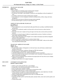 Team leader has the responsibility of leading a team towards its goal. Team Lead Manager Resume Samples Velvet Jobs