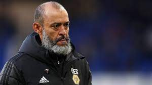 Wolf families have and know about their neighbors. Wolves Head Coach Nuno Espirito Santo To Leave The Premier League Club After Sunday S Final Game Of The Season Eurosport