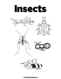 Insects Coloring Page Insect Coloring Pages Bug Coloring Pages Pumpkin Coloring Pages