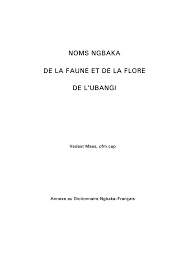 Image result for Leptonychia tokana