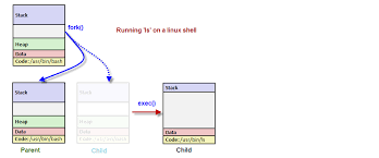 If the victim is a zombie: Linux Processes And Signals 2020