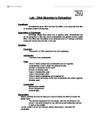 What does the extraction buffer do? 35 Strawberry Dna Extraction Worksheet Free Worksheet Spreadsheet