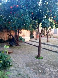 Finca villa juan (casas rurales (habitaciones) en ribera del fresno, badajoz). Finca Villa Juan Home Facebook