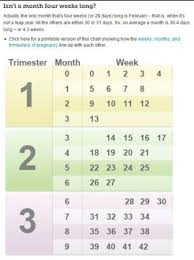 While you're dealing with that new discomfort, be on the lookout for signs of labor at week 38 of pregnancy, including contractions that come on stronger and at more. 35 Week Pregnancy In Months Pregnancywalls