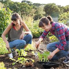 When do i apply for horticulture internships? Horticulture Careers Seed Your Future