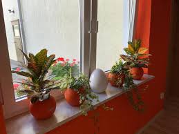 Das beste war zum schluß eine kugel schokoeis aufs haus. Pensionett Bernburg Aktualisierte Preise Fur 2021