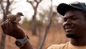FitzPatrick Ins tute of African Ornithology
